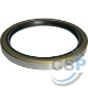 2503-3153 - Oil Seal