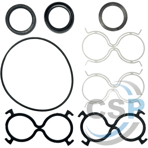 SEAL KIT FOR RONZIO MOTOR