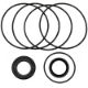 209-342 - Danfoss Style - Cenako OMV/OMTW Hydraulic Motor Sealkit